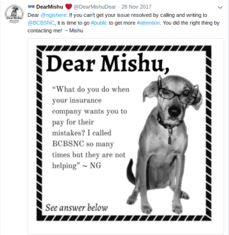 Dear Mishu, Tuesday, April 3, 2018, Press release picture