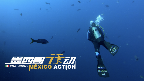 Mexican Action, Wednesday, March 20, 2019, Press release picture