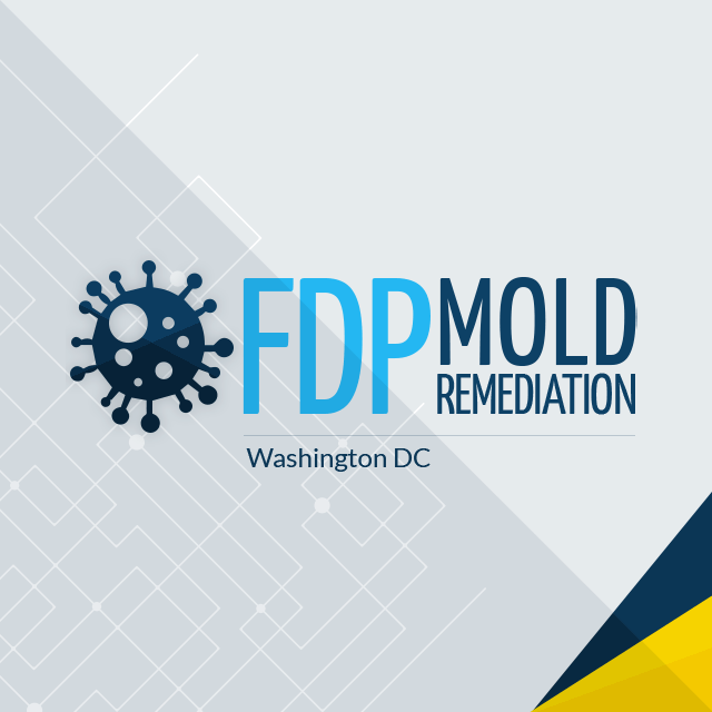 FDP Mold Remediation, Monday, May 6, 2019, Press release picture