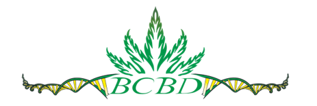 BC Bud Depot, Thursday, January 30, 2020, Press release picture
