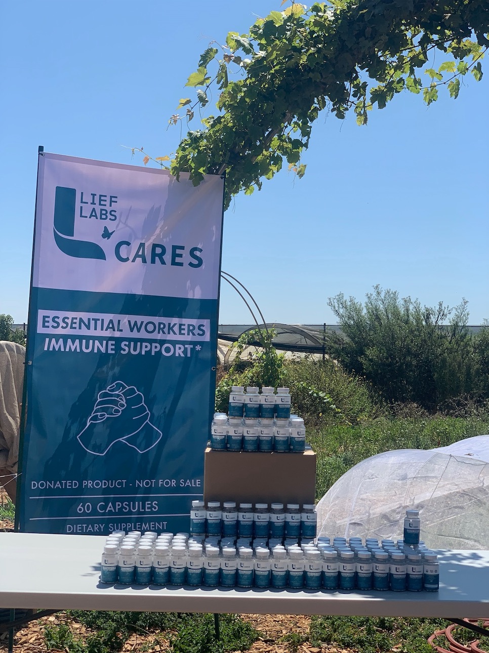 Lief Labs, Wednesday, September 2, 2020, Press release picture
