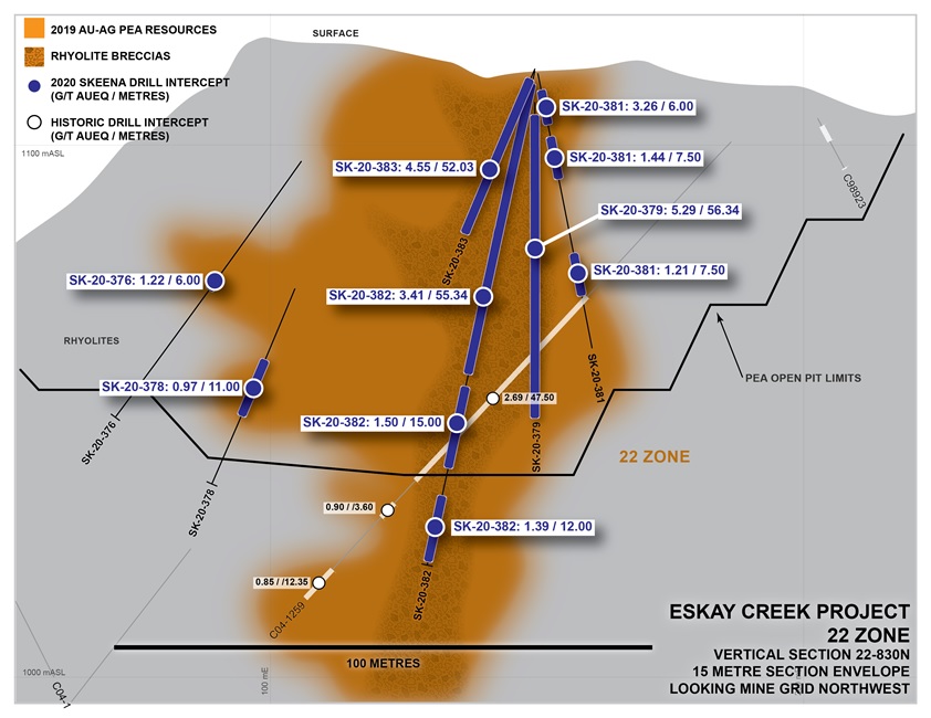 Skeena Resources Limited, Thursday, November 19, 2020, Press release picture