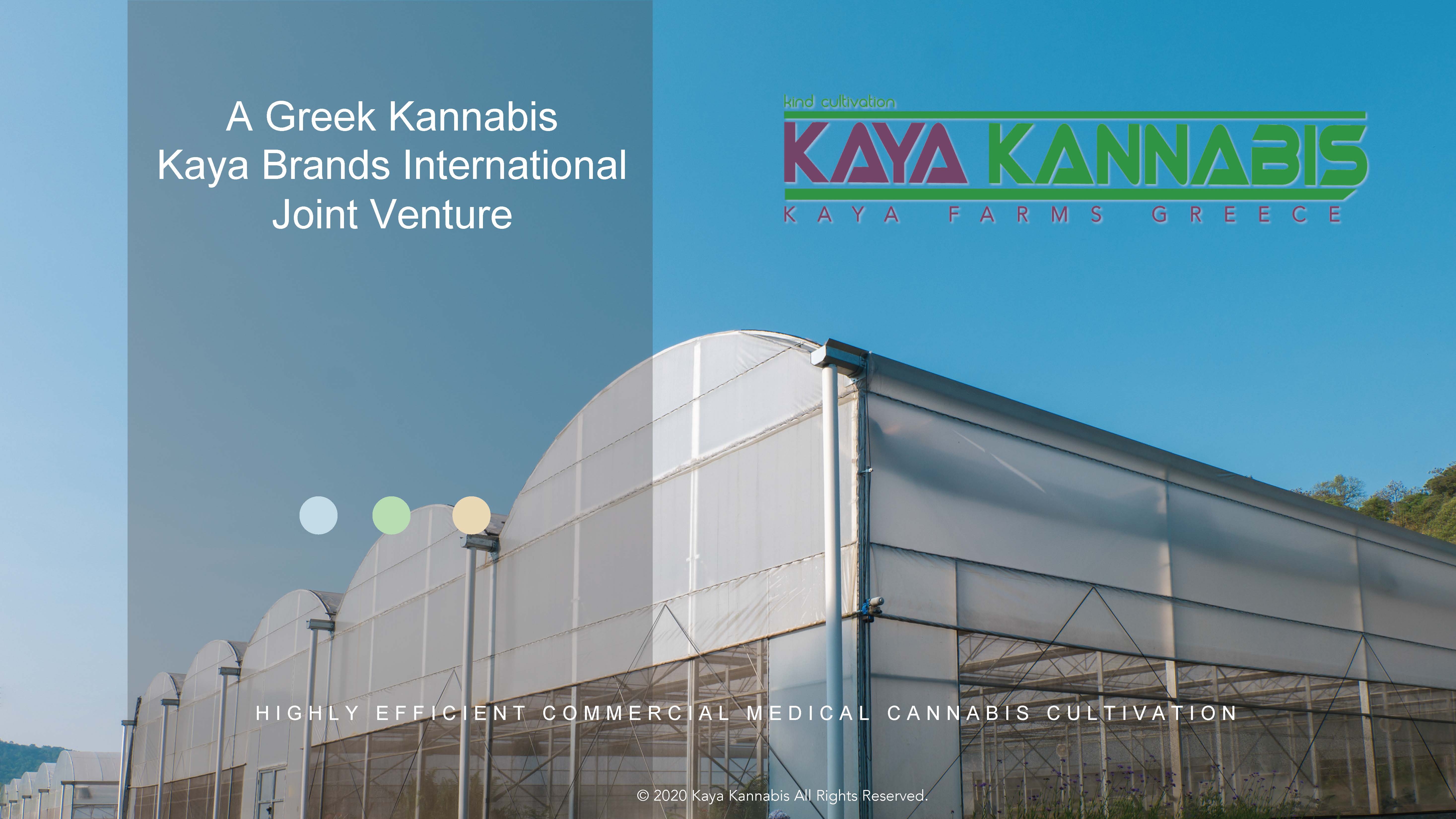 Kaya Holdings, Thursday, January 21, 2021, Press release picture