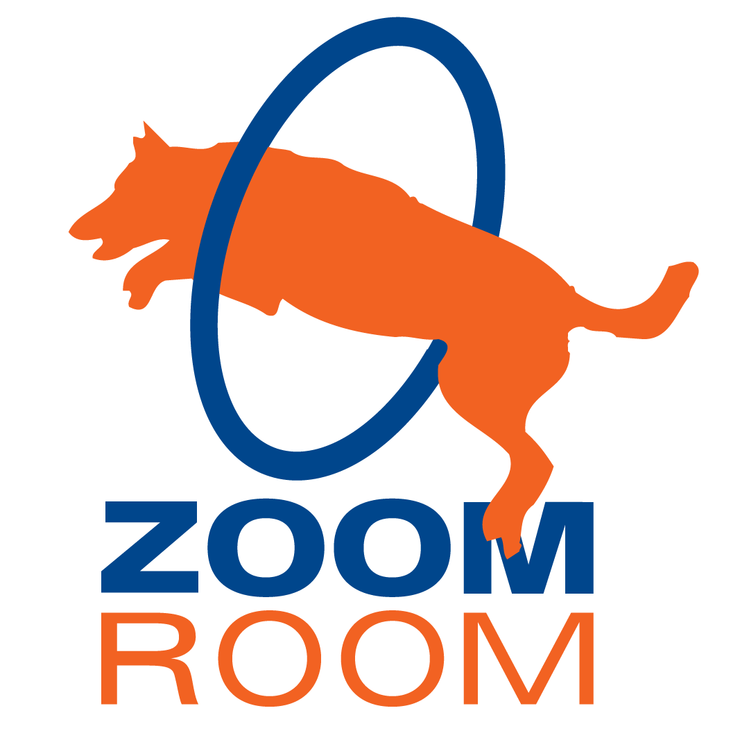 Zoom Room, Wednesday, January 27, 2021, Press release picture