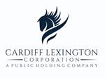 Cardiff Lexington Corporation, Monday, April 12, 2021, Press release picture
