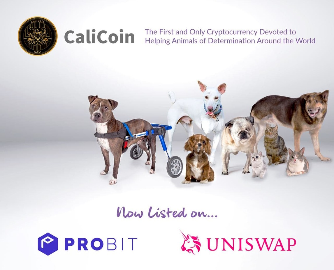 CaliCoin, Monday, May 3, 2021, Press release picture