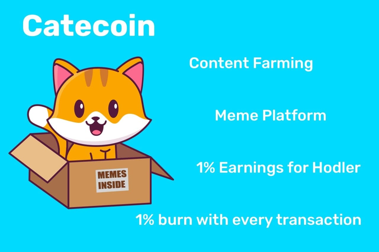 Catecoin, Saturday, May 8, 2021, Press release picture