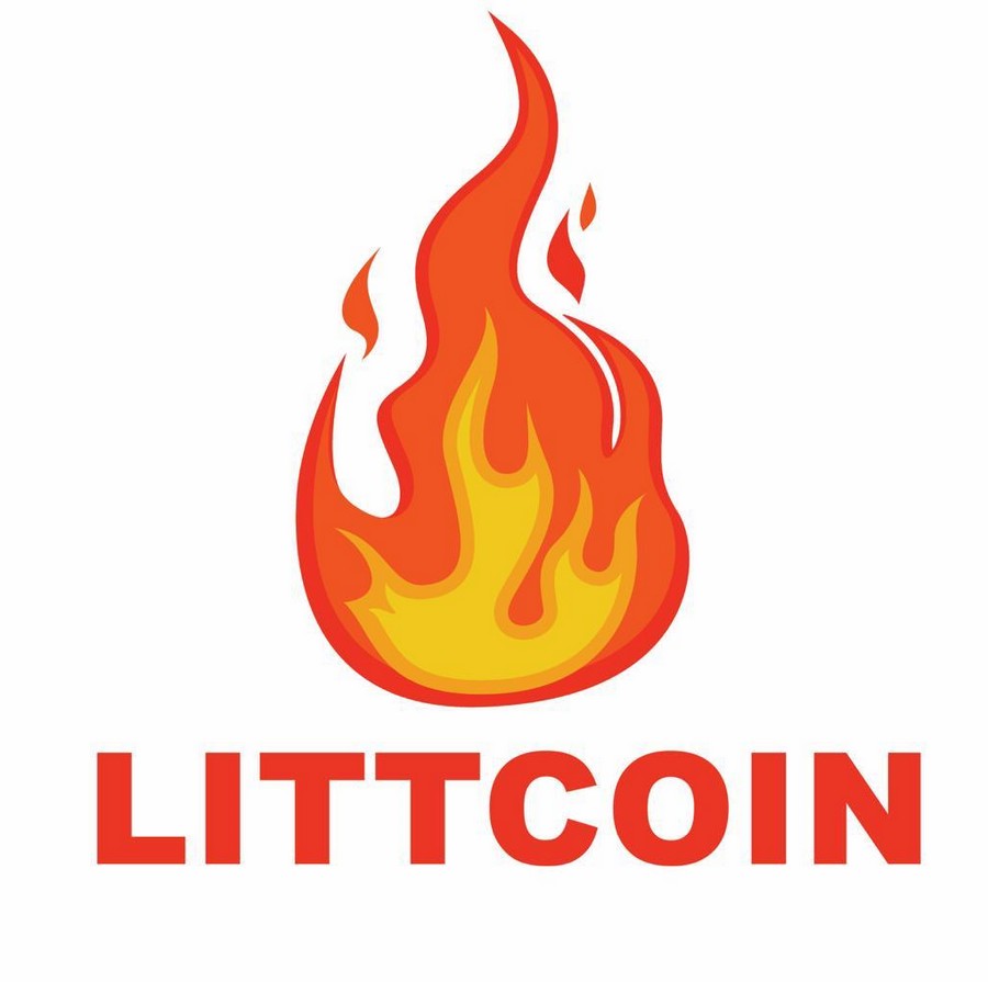 Littcoin LLC, Tuesday, May 11, 2021, Press release picture
