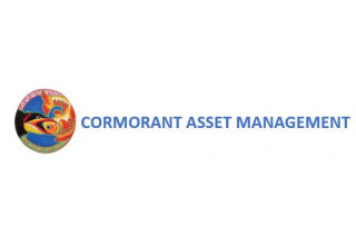 Cormonant Asset, Wednesday, June 16, 2021, Press release picture