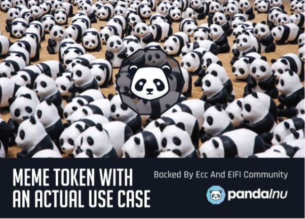 PandaInu, Friday, August 13, 2021, Press release picture