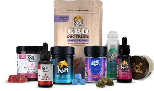 Koi CBD, Tuesday, October 26, 2021, Press release picture