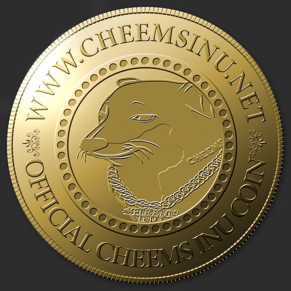 Cheems Inu, Saturday, December 11, 2021, Press release picture