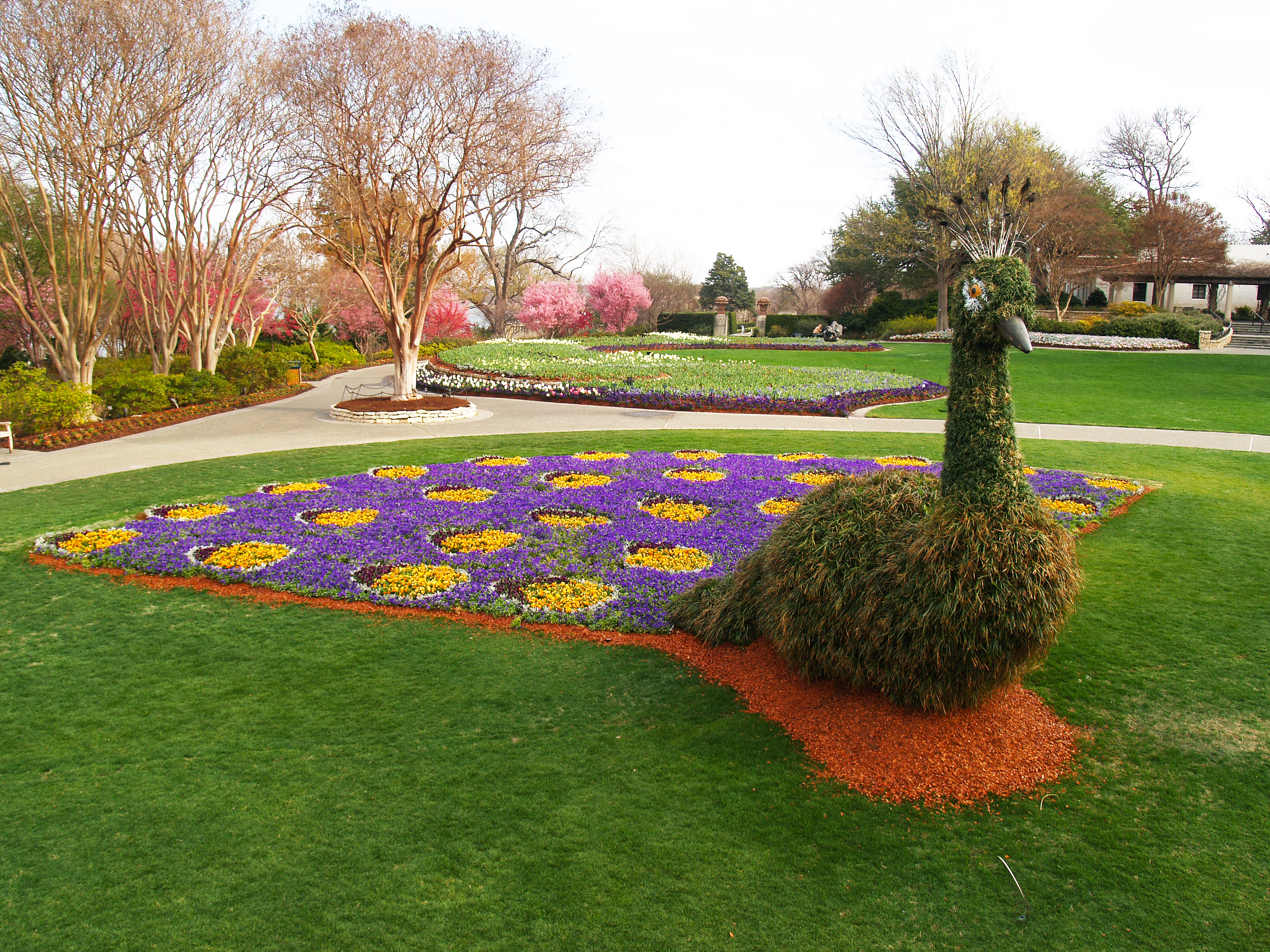 Dallas Arboretum and Botanical Garden, Wednesday, January 12, 2022, Press release picture