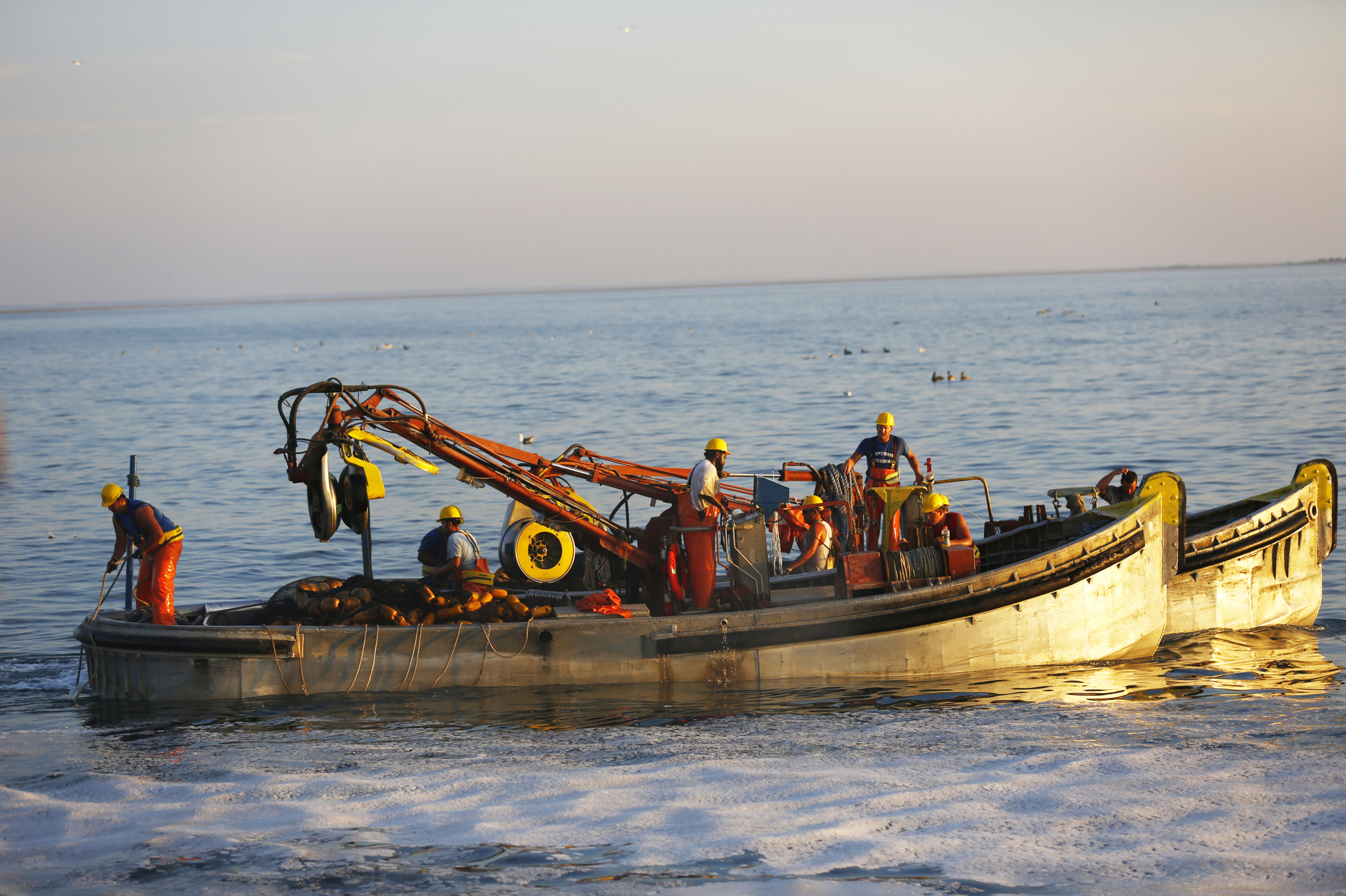 Menhaden Fisheries Coalition, Wednesday, July 13, 2022, Press release picture