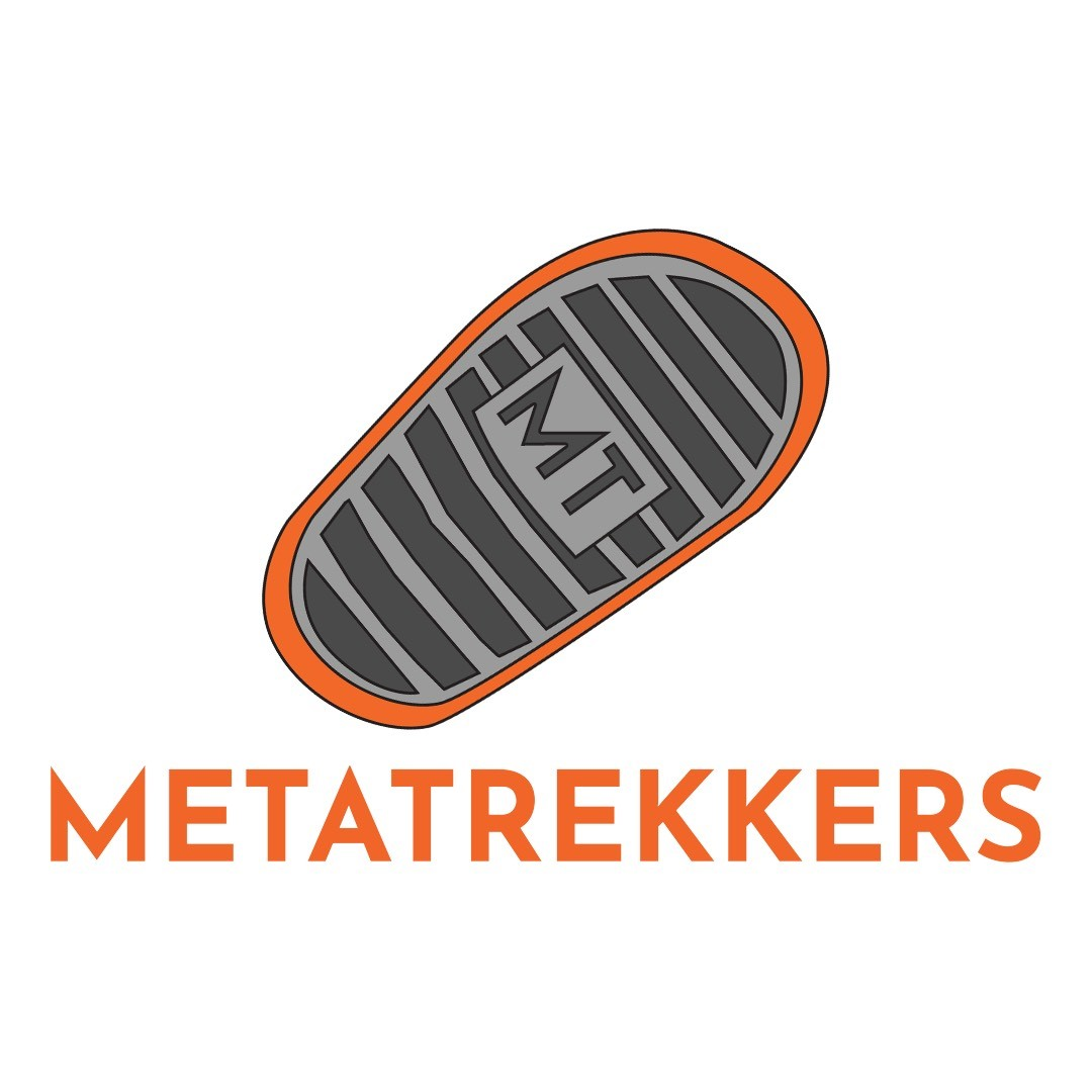 Metatrekkers, jeudi 10 novembre 2022, Image du communiqué de presse