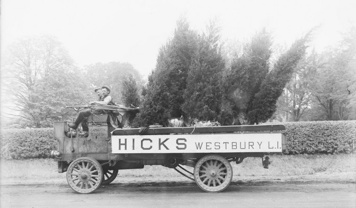 nachrichten Hicks Baumschulen um 1915