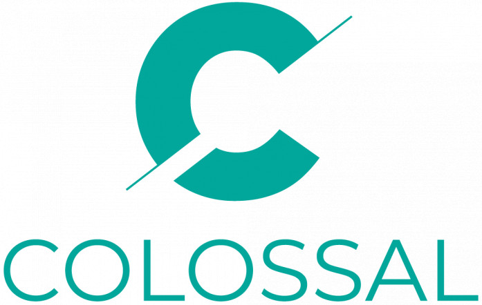 Colossal Management