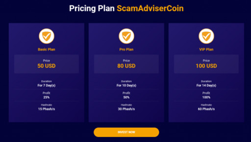 Investment Options ScamAdviser Coin