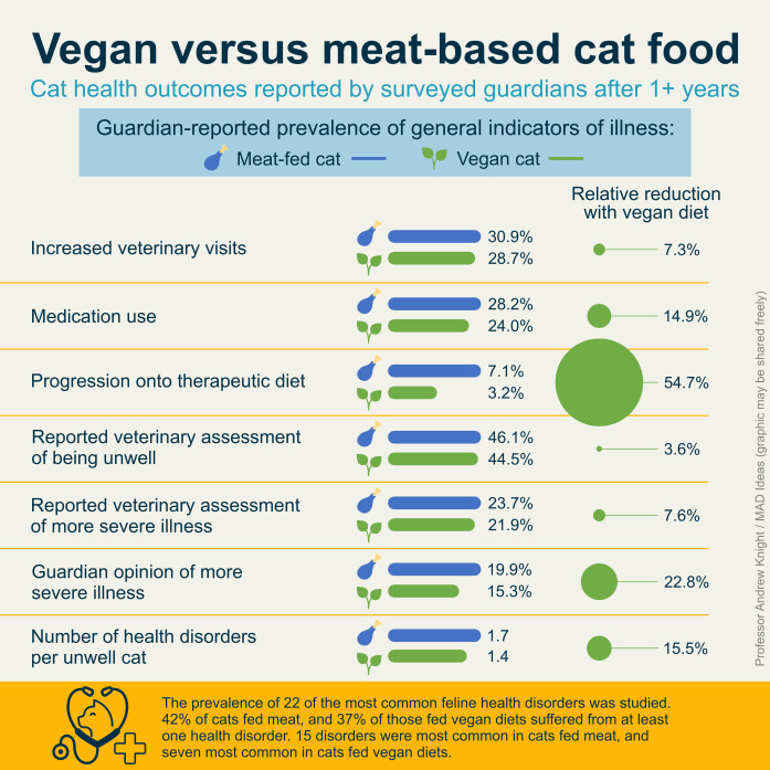 Vegan cat health outcomes